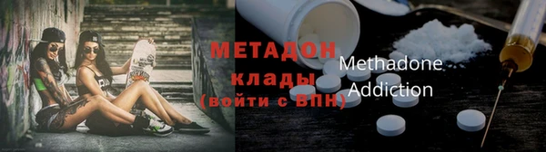 сатива Верея