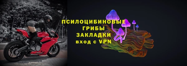 сатива Верея