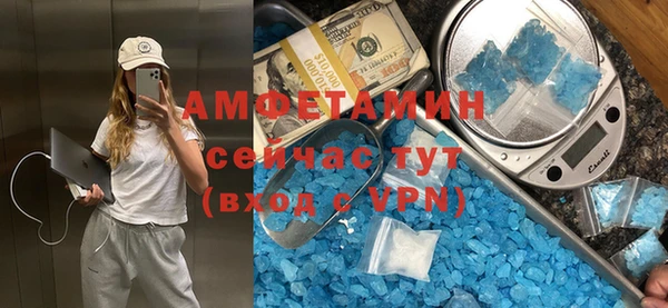 сатива Верея