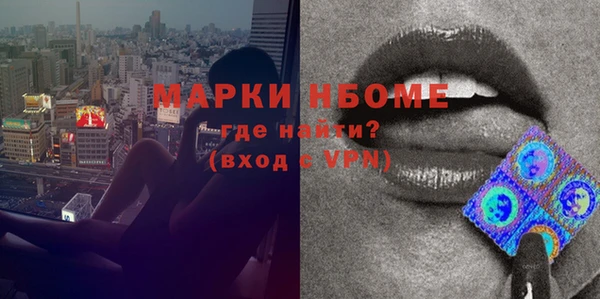сатива Верея