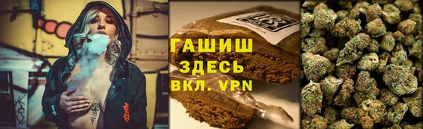 сатива Верея