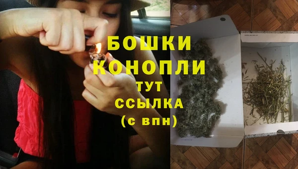 сатива Верея