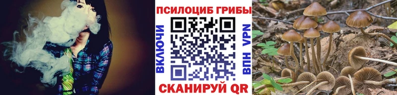 Псилоцибиновые грибы ЛСД  продажа наркотиков  Ставрополь 